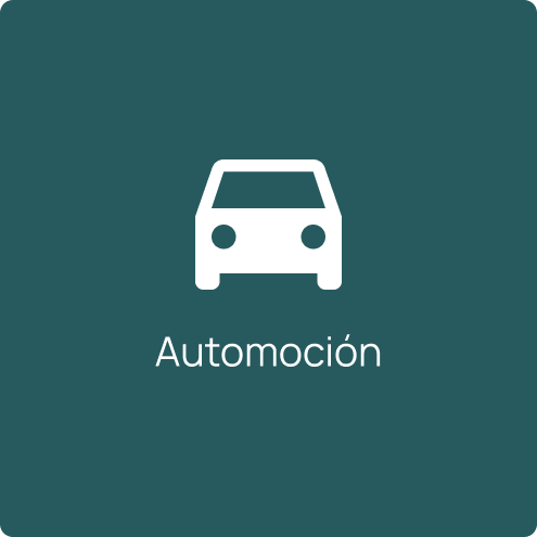 automocion icon